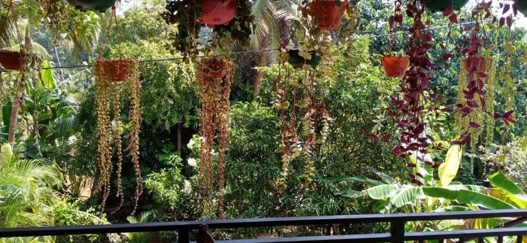Jungle View One Bedroom Private Apartment Unawatuna Exterior foto