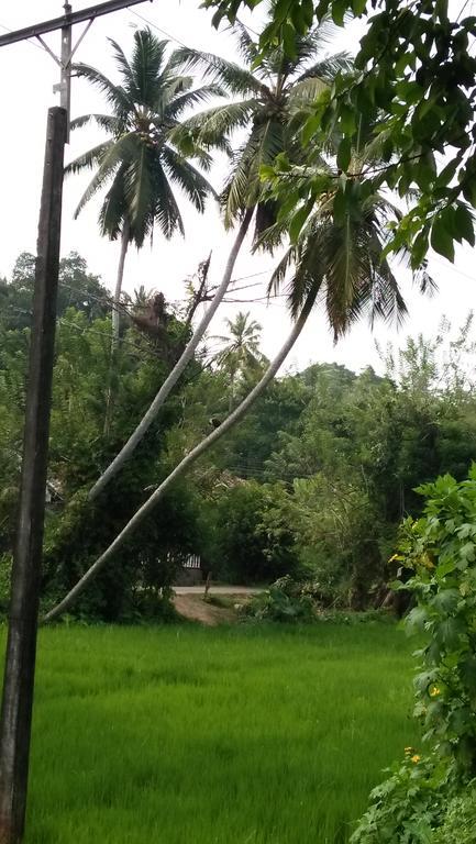 Jungle View One Bedroom Private Apartment Unawatuna Exterior foto